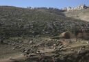 «Una decisión histórica»: ¿Qué significa la sentencia del CIJ sobre las tierras de Cisjordania?