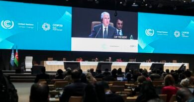 Nuevo paso en la guerra al metano en la COP29 que mantiene vivo el ritmo negociador