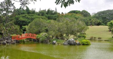 El Botánico