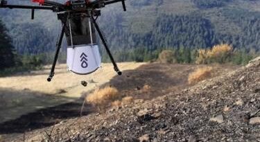 Canadá usa drones para reforestar bosques arrasados por incendios
