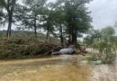 Las inundaciones en Texas (EE.UU.) causan 82 muertes