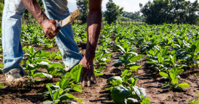 Fuerza Agropecuaria alerta sobre despidos y exige respuesta gubernamental