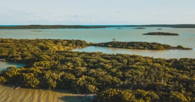 Yeni Berenice instruye investigación penal sobre ocupaciones ilegales y fraudes inmobiliarios en Áreas Protegidas