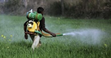 La trágica huella de los pesticidas en América Latina La trágica huella de los pesticidas en América Latina