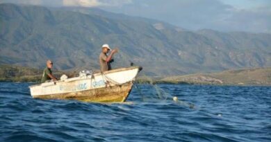 Advierten sobre período de veda de langostas y cangrejos en República Dominicana