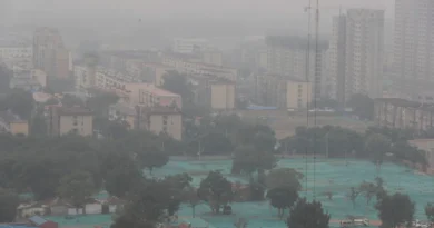 China refuerza legalmente su transición verde