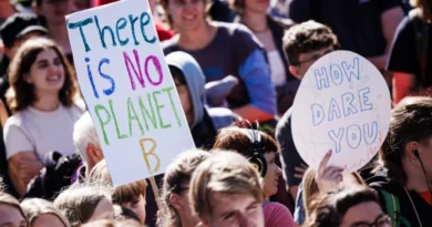 Generación Z juzga de forma activa el comportamiento ambiental de las empresas