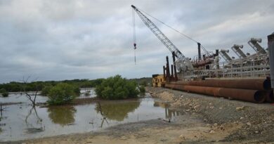 Manglar Estero Balsa de Manzanillo, en riesgo: piden acción al BID