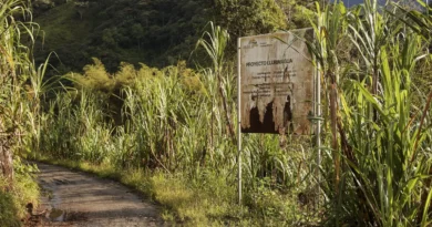 Íntag, el valle de Ecuador que teme que la nueva ley minera reabra un conflicto histórico Íntag, el valle de Ecuador que teme que la nueva ley minera reabra un conflicto histórico