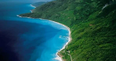 Asedio al gigante del sur: el laberinto judicial que amenaza al Parque Nacional Jaragua Asedio al gigante del sur: el laberinto judicial que amenaza al Parque Nacional Jaragua