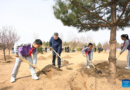 Xi Jinping insta a movilizar a toda la sociedad en los esfuerzos de plantación de árboles