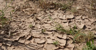 El cambio climático, elemento recurrente en crisis históricas