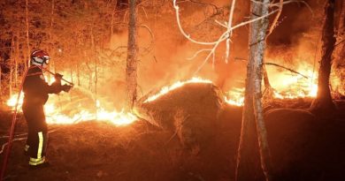 Incendio arrasa bosque de Fontainebleau, cerca de París Incendio arrasa bosque de Fontainebleau, cerca de París