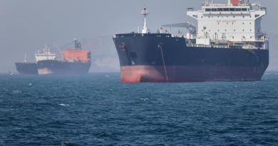Explotan dos petroleros al sur del estrecho de Ormuz, informa Irán Explotan dos petroleros al sur del estrecho de Ormuz, informa Irán