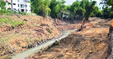Ambientalistas piden preservar la cobertura boscosa en construcción de parque en Santiago