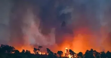 Incendio en Francia: tres detenidos, más de 32 mil hectáreas afectadas y 167 mil evacuados Incendio en Francia: tres detenidos, más de 32 mil hectáreas afectadas y 167 mil evacuados