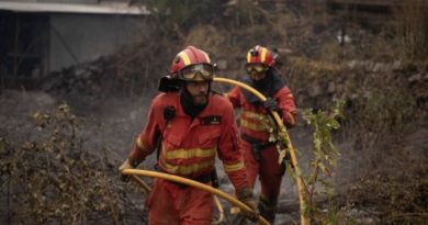 El fuego calcina ya 152 mil hectáreas de bosques en España