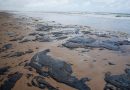 Avanza derrame petrolero y amenaza tesoro marino de Brasil