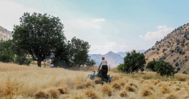 El Súper El Niño amenaza con disparar el precio global de los alimentos