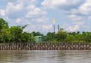 Colombia emitió resolución para proteger Bioma Amazónico