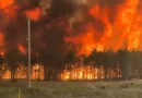 Incendio forestal en la Columbia Británica obliga a evacuar a más de 20.000 personas