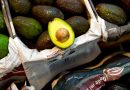 El aguacate es un nuevo frente de presión política de Washington hacia México, afirman expertos