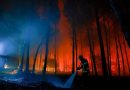 Crece la preocupación en Francia por incendios forestales
