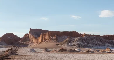 Descubren en desierto chileno enzima capaz de degradar plásticos Descubren en desierto chileno enzima capaz de degradar plásticos
