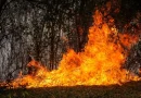 Colombia registra más de 30 incendios activos