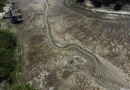 Del Amazonas a Europa: las sequías son cada vez más largas y frecuentes