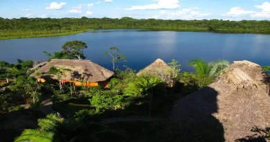 Amazonía ecuatoriana: entre petróleo, contaminación y resistencia