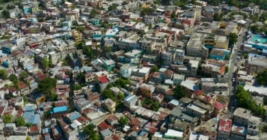 La baja pequeña burguesía urbana y el lumpen ideológico. La baja pequeña burguesía urbana y el lumpen ideológico.