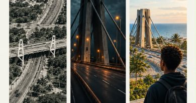 El puente de la sumisión. El puente de la sumisión.