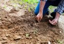 La sequía golpea al sector agropecuario y comienza a presionar a los productores