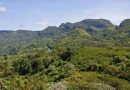 Primeros pasos para la gestión sostenible de geoparque cubano