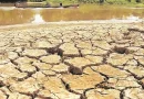 Alerta máxima en Centroamérica por la sequía del Súper El Niño