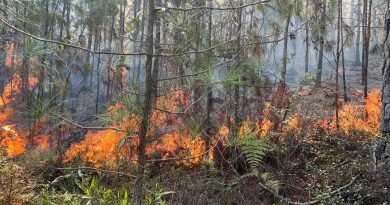 Continúa incendio en la Sierra de Bahoruco Continúa incendio en la Sierra de Bahoruco