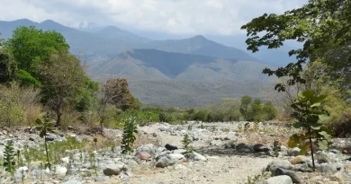 La sequía en Guatemala destruye cultivos y empuja a los campesinos a la supervivencia La sequía en Guatemala destruye cultivos y empuja a los campesinos a la supervivencia