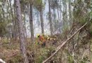 Concluyen combate al incendio en la Sierra de Bahoruco tras seis días de labores