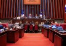 Senado aprueba crear una nueva entidad para el Gobierno: El Instituto Nacional de Semillas