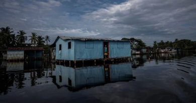 El lago de Maracaibo, en Venezuela, resiste la contaminación petrolera El lago de Maracaibo, en Venezuela, resiste la contaminación petrolera