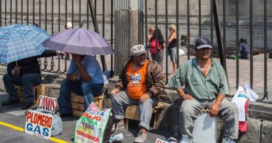 Tasa de desocupación en México se situó en tres por ciento en agosto Tasa de desocupación en México se situó en tres por ciento en agosto