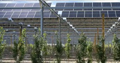 Paneles solares sobre los cultivos: ¿una alianza perfecta? Paneles solares sobre los cultivos: ¿una alianza perfecta?