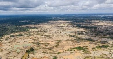 Minería ilegal de oro en la Amazonía: alerta por mercurio Minería ilegal de oro en la Amazonía: alerta por mercurio