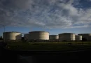 El G7 acuerda liberar hasta 100 millones de barriles de diésel y petróleo para contener los precios