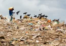 Los desbordados vertederos de Trinidad y Tobago, medio de subsistencia y problema nacional