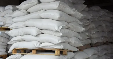 Sector arrocero muestra preocupación ante derogación de aranceles a la importación. Sector arrocero muestra preocupación ante derogación de aranceles a la importación.