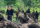 Operativo deja 233 detenidos por delitos ambientales en nueve países de América Latina