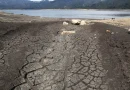 El Niño llega oficialmente a Colombia y amenaza con reducir las lluvias hasta mediados de 2027