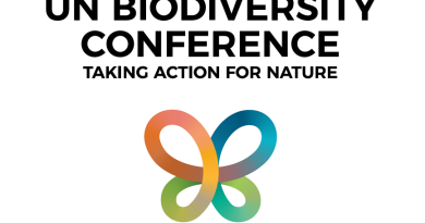 La COP17 afronta el desafío de acelerar la protección de la biodiversidad en la Tierra La COP17 afronta el desafío de acelerar la protección de la biodiversidad en la Tierra